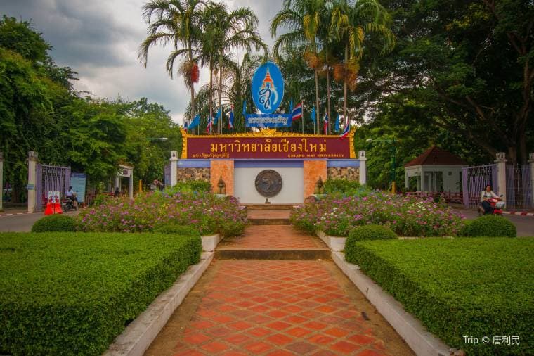 Chiang Mai University - CMU အကြောင်းတစေ့တစောင်း - Part One (Updated 2024)